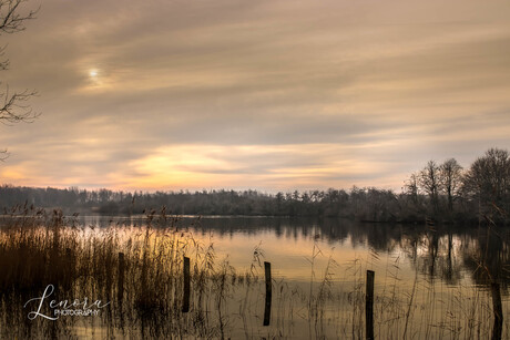 Landschap in December