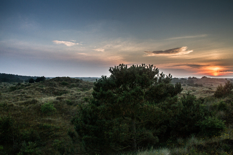 Zonsondergang in het bos