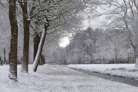 Sneeuw in Friesland