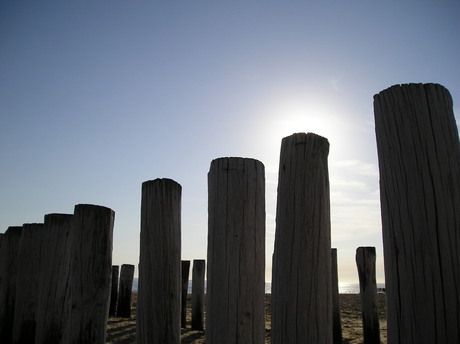 Golfbrekers in de zon