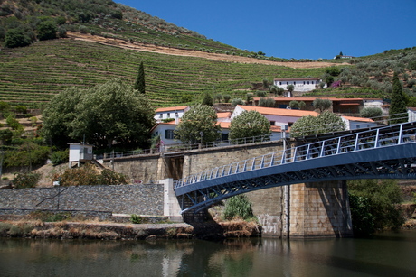 Portgebied langs de Douro Portugal
