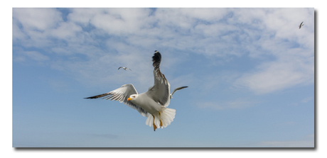 Fotoweekend Texel ...