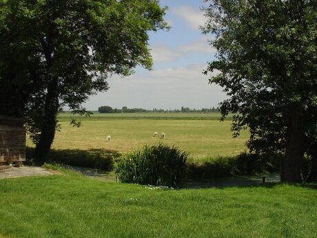 Polder Hoekse Waard