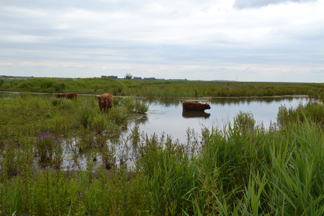 Natuur en Dieren