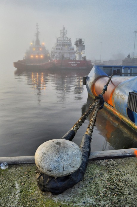 Haven Den Helder