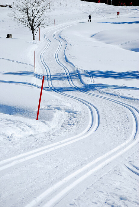 fraai lijnenspel in de sneeuw