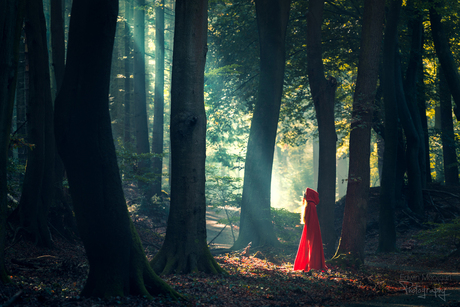 Little red riding hood