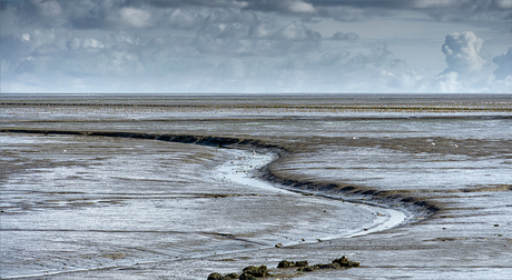 Wadden bij Moddergat