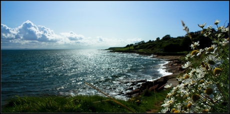 Scottish Coast