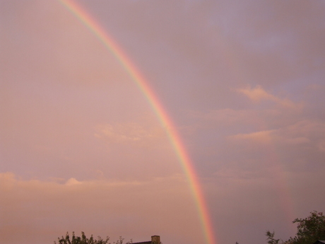 Mijn Regenboog