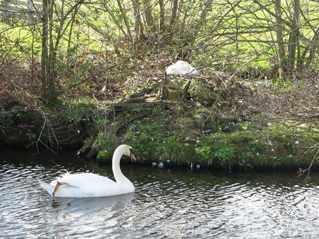 Ouders in spé