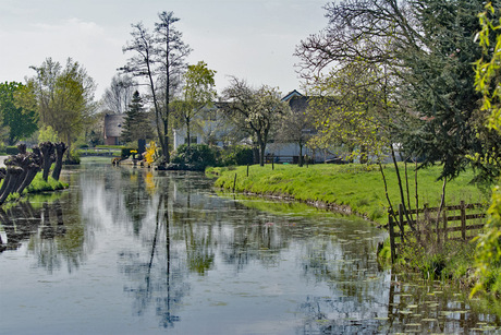 Goudriaan