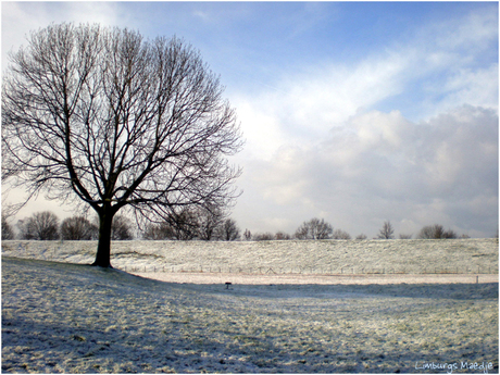 Vanochtend