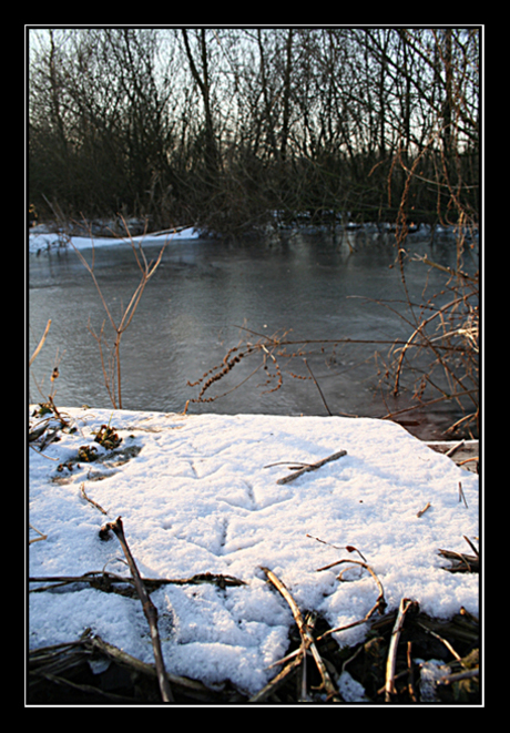 Sporen in sneeuw