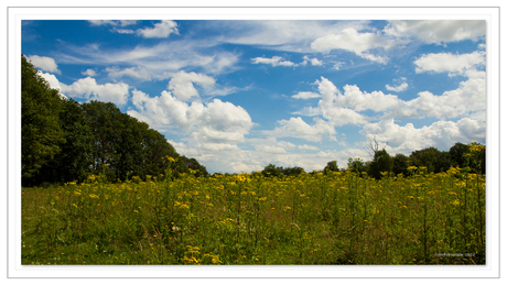 Kampina wandeling