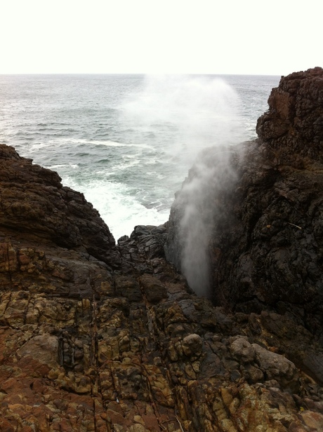 Blowhole