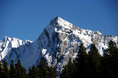 Bergtop