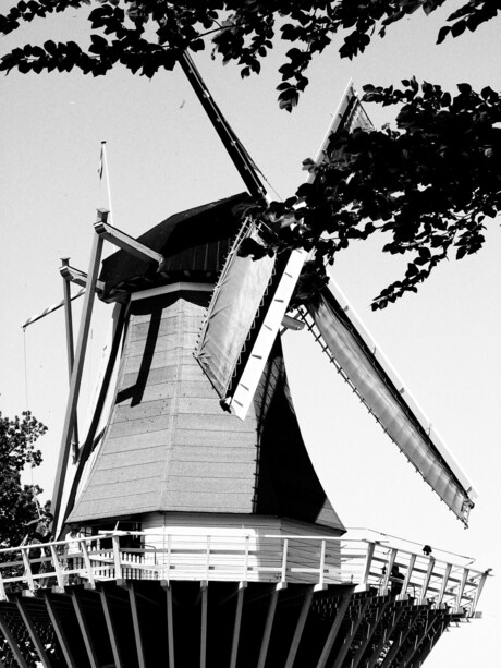 molen