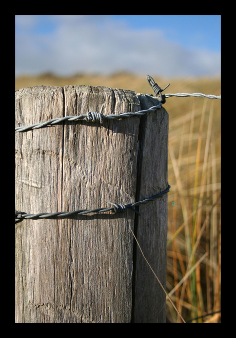 duinen