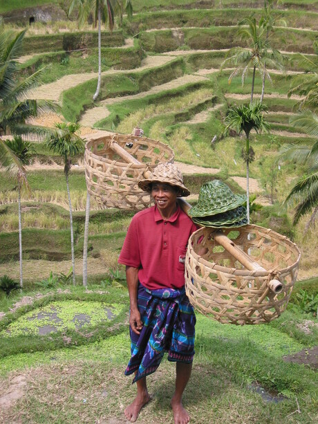 Werken in Indonesie