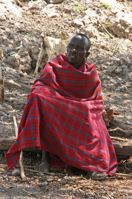 Maasai in schaduw