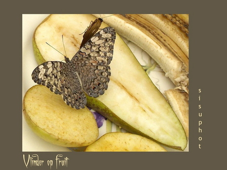 Vlinder op fruit