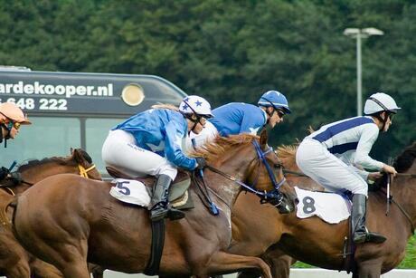 Heftige strijd op de renbaan