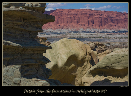 Ischigualasto NP detail