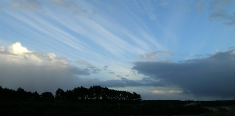 Wijdsheid op de hoge veluwe