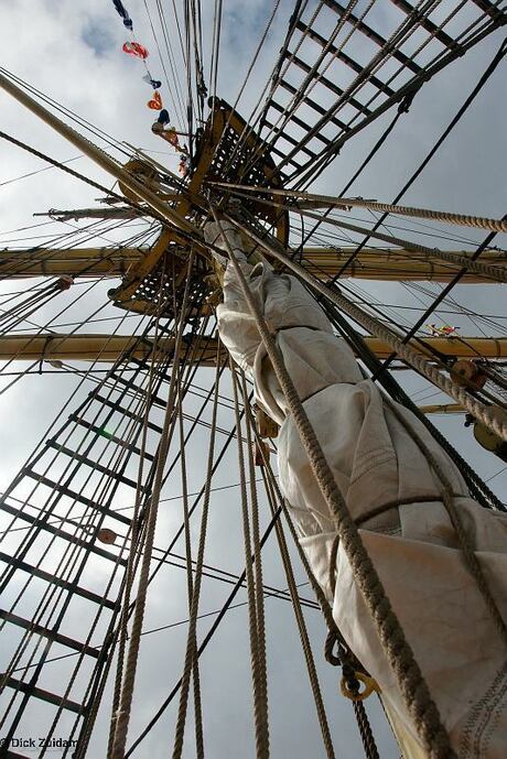 sail Amsterdam 2010