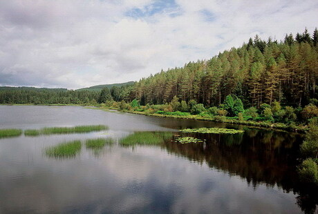 Dumfries Galloway park