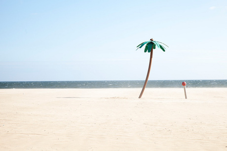 coney island - New York - fake palm tree