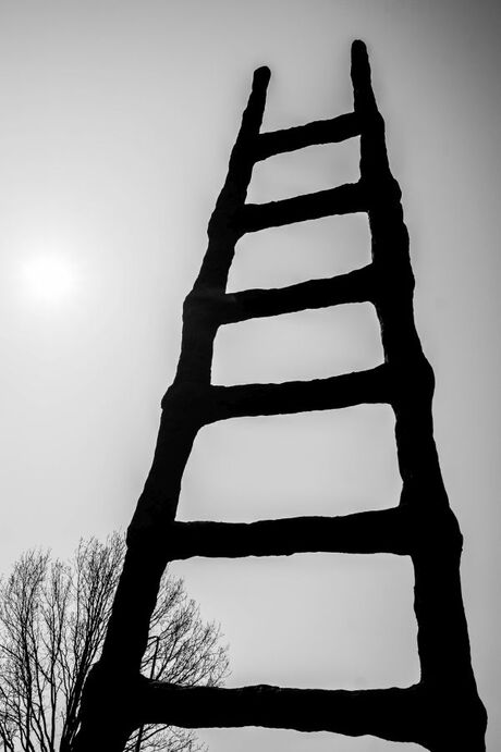 De ladder