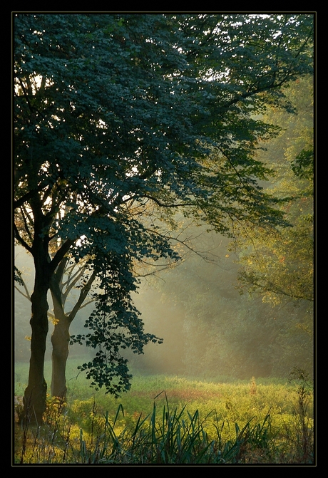 Achter de bomen schijnt de zon 2