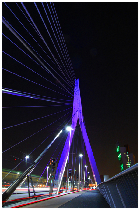 Erasmusbrug, Rotterdam