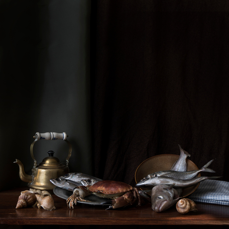 Stillife photography fish