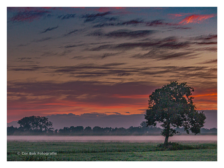 zonsopkomst