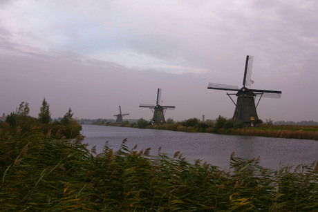 Kinderdijk