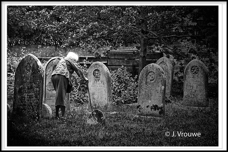 Op zoek naar de roots?