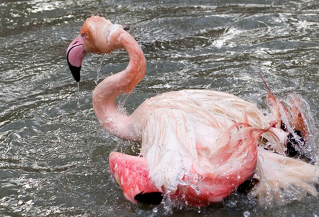 aan het wassen