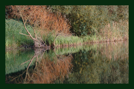 Herfstkleuren