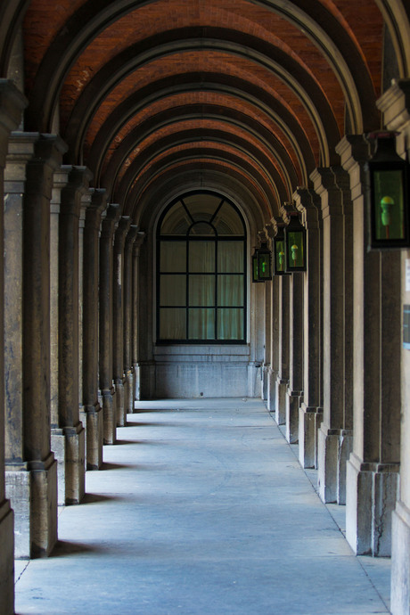 Binnenhof Den Haag.jpg