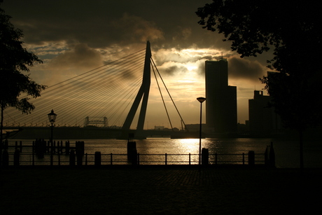 Rotterdam ontwaakt