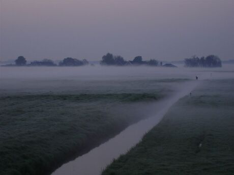 Misty morning