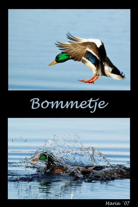 Bommetje...