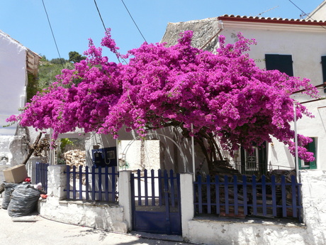 Schitterende kleuren in Griekenland