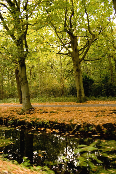 herfst vanuit de auto