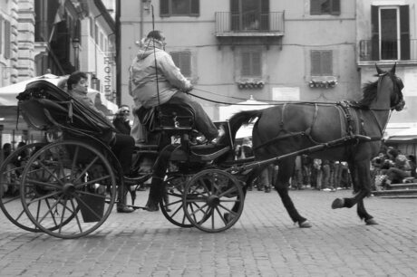 paard met car in actie