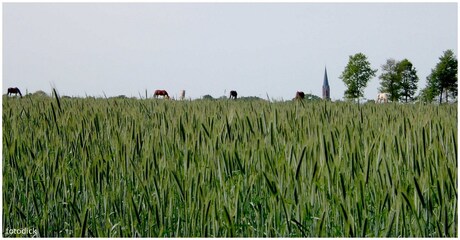 Ergens in Twente