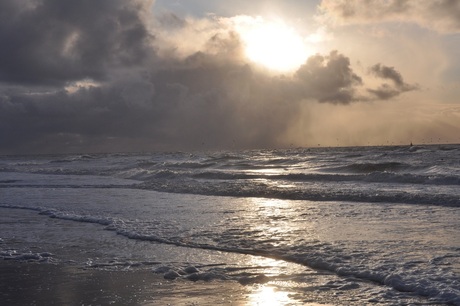 Strand van Texel